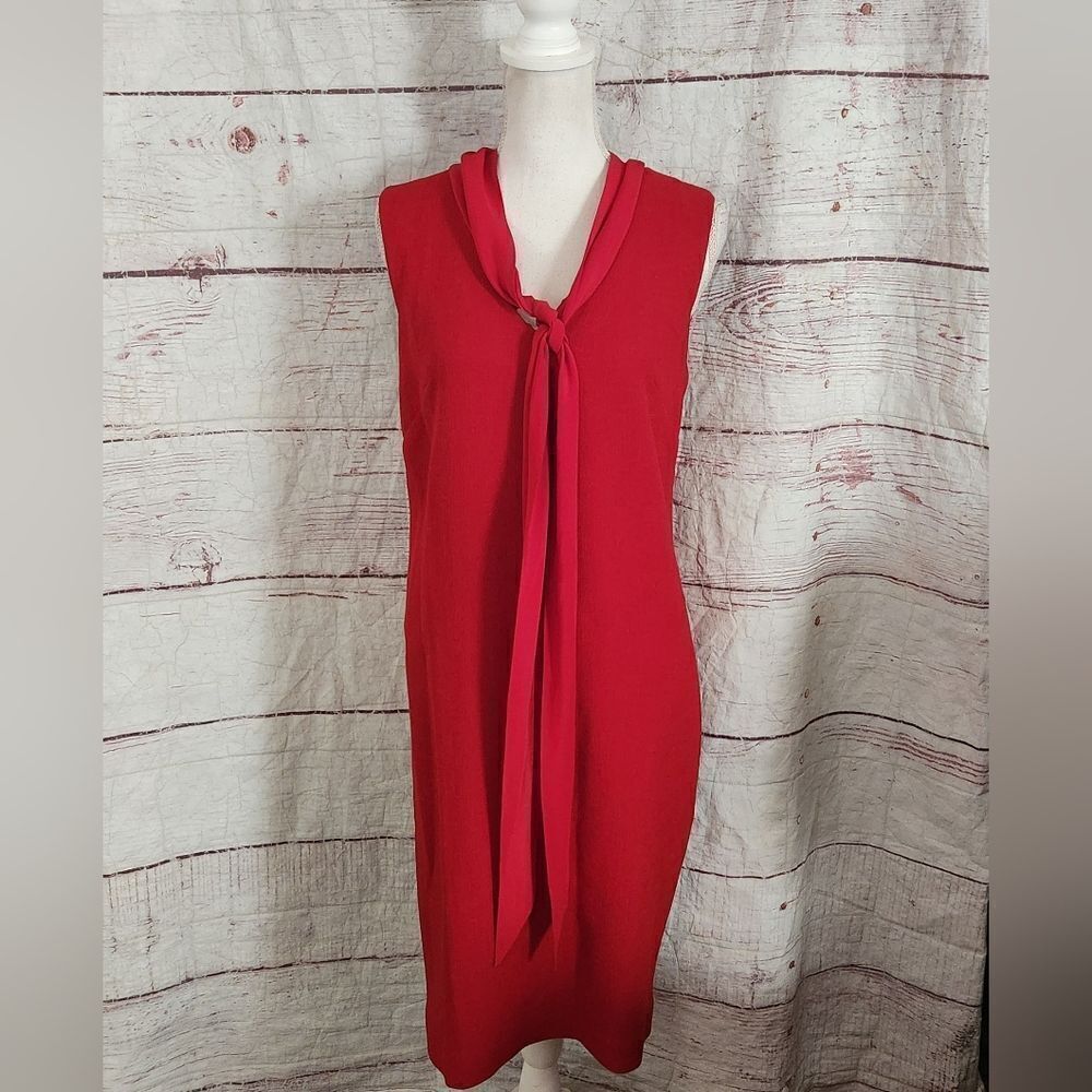Ellie Kai 2 Way Sheath Dress Size 10 NWT